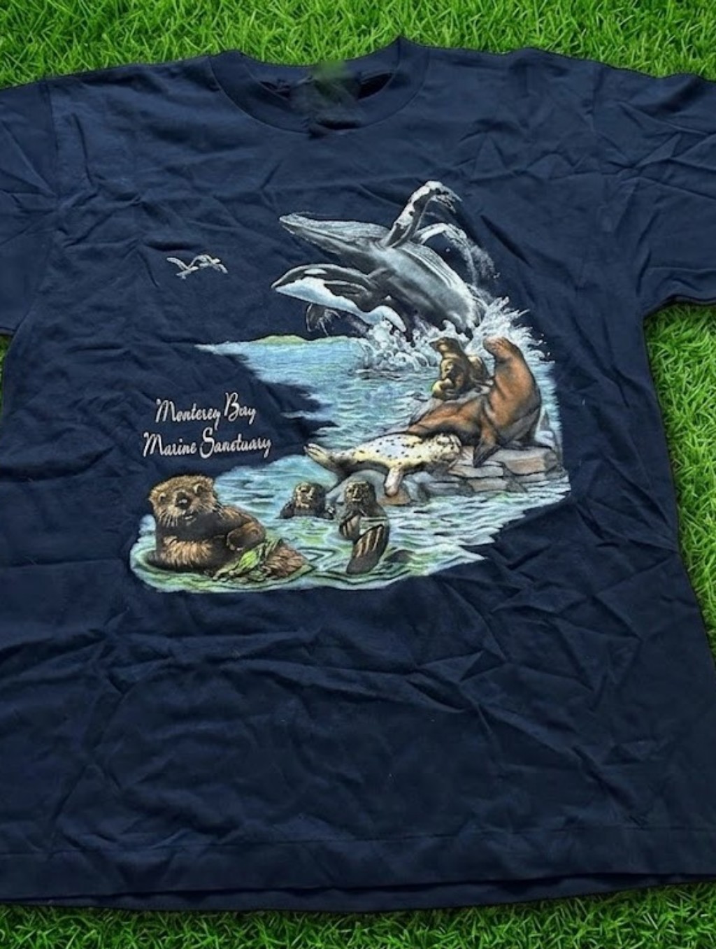 Vintage Monterey Bay Marine Sanctuary TShirt